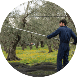 Azienda
